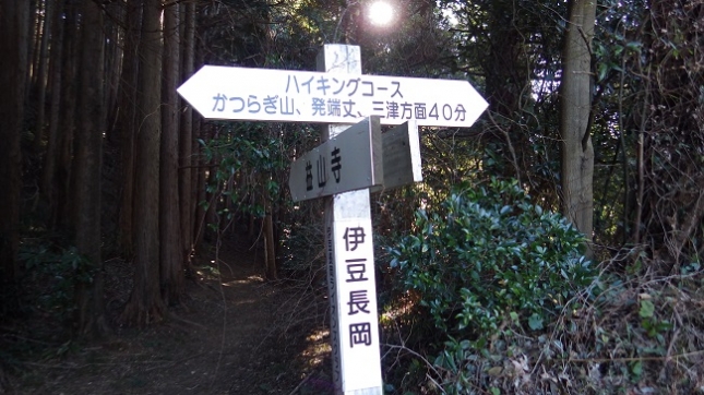 ⑧137益山寺分岐