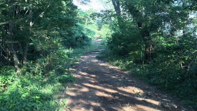 156高尾山へtmp_imgresize