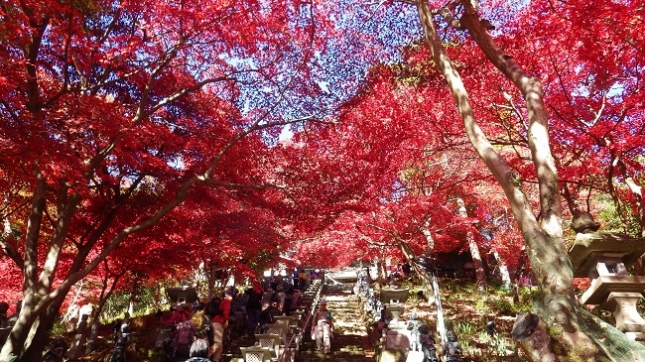 ⑦051大山寺参道