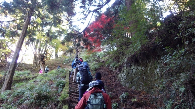 ④250阿夫利神社下社
