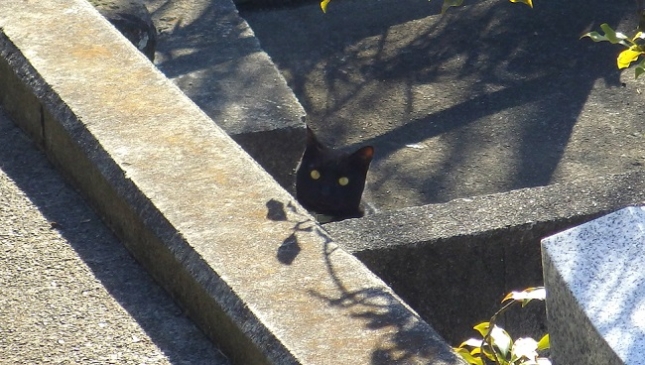 059国府津光明寺