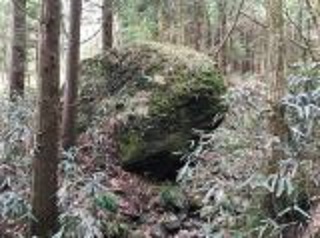 t_8db38450a64bd21312d029b92d7f7186[1]